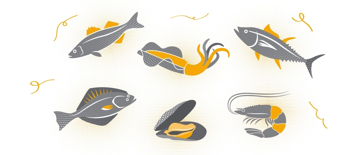 Balık, Deniz Mahsulleri Çeşitleri ve Tazeliğini Anlamak