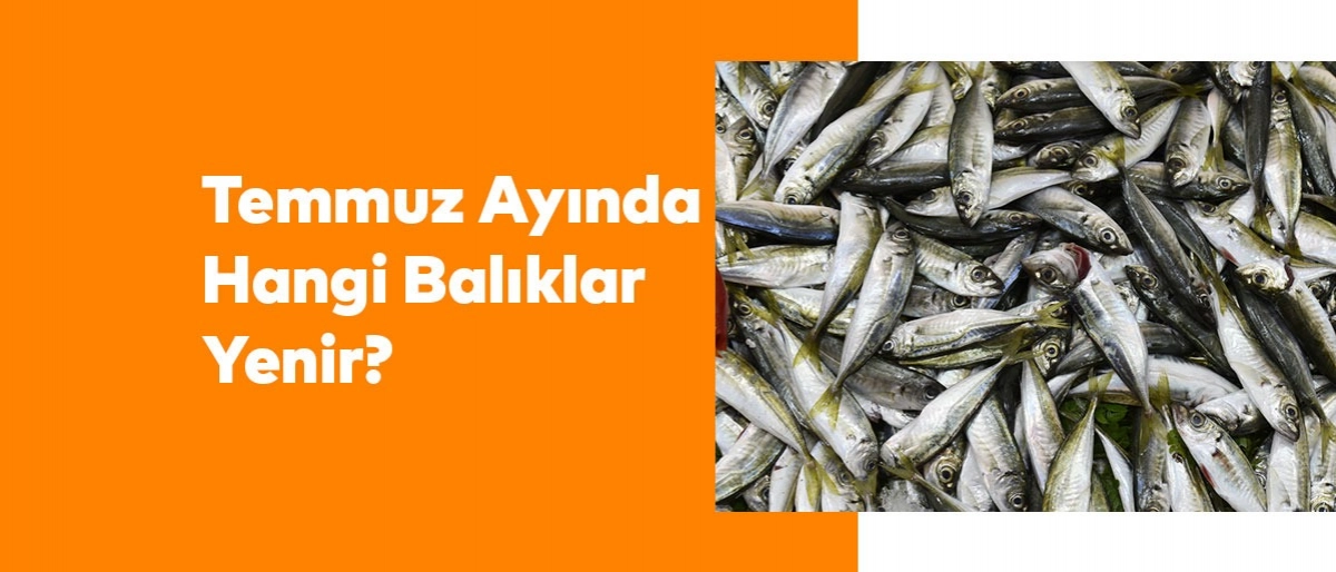 Temmuz Ayında Hangi Balıklar Yenir?