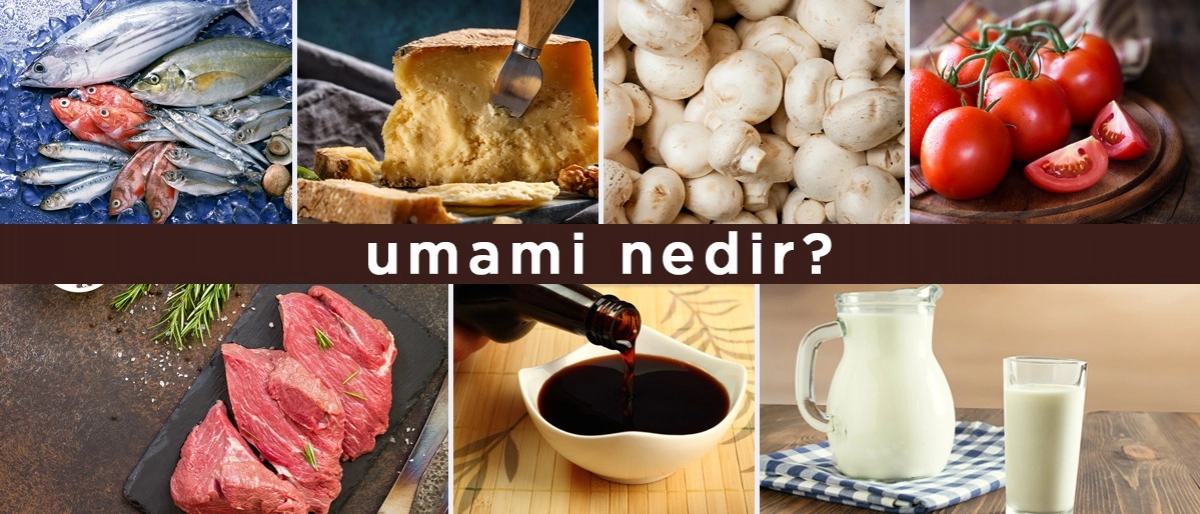 Umami Nedir?