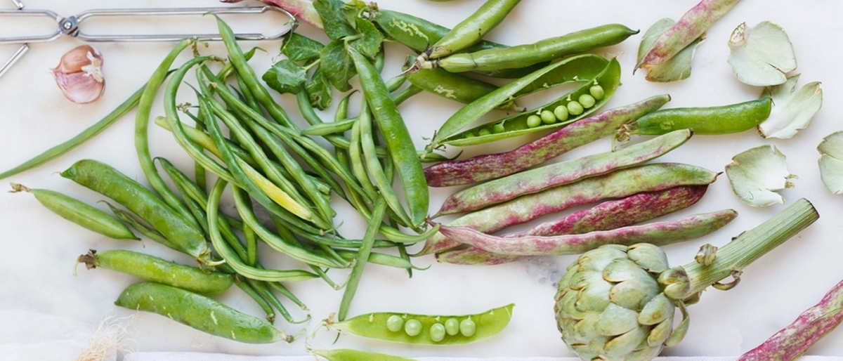 Haziran Ayı Sebzeleri Nelerdir?