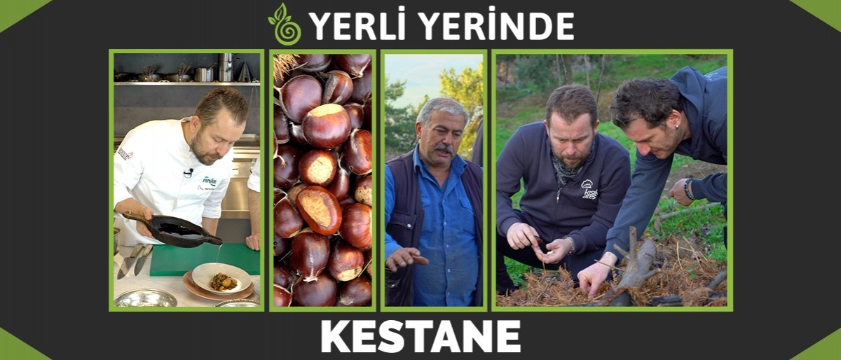 Yerli Yerinde 1.Bölüm: Kestane