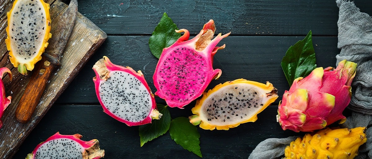 Ejder Meyvesi Nedir?