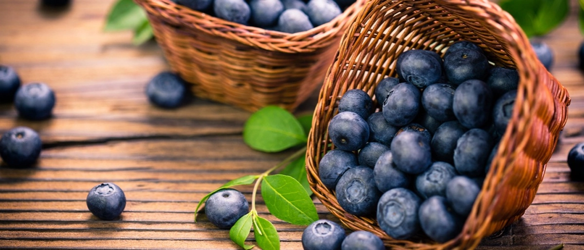 Yaban Mersini Faydaları Nelerdir?