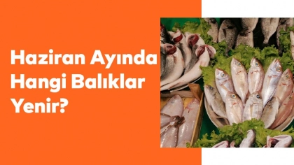 Haziran Ayında Hangi Balıklar Yenir?