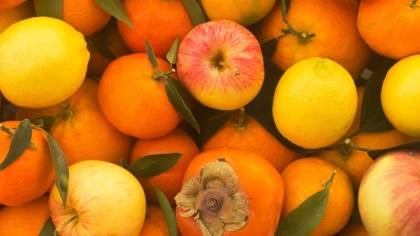 Kasım Ayı Meyveleri Nelerdir?