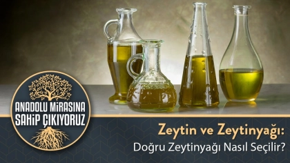 Doğru Zeytinyağı Nasıl Seçilir?