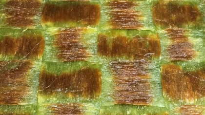 Petek Pastanesi - Hatay