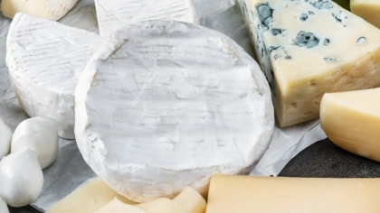 Peynir Yapımının Temelleri