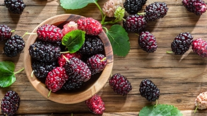 Dut Faydaları Nelerdir?