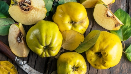 Ayva Faydaları Nelerdir?