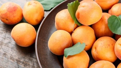 Kayısı Faydaları Nelerdir?