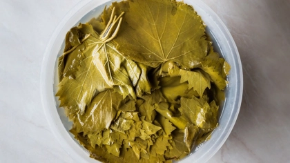 Asma Yaprağı Salamurası