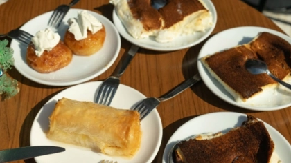 Süt Çiçeği - İzmir