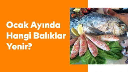 Ocak Ayında Hangi Balıklar Yenir?