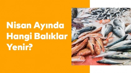 Nisan Ayında Hangi Balıklar Yenir?