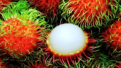 Dünyanın En İlginç Meyveleri!