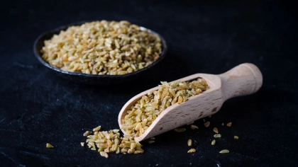 Firik Bulguru Nedir?