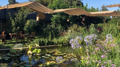 Mahalle Güzelbahçe - İzmir