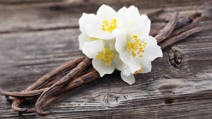 Vanilya Çubuğu Nasıl Kullanılır?