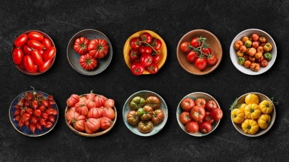 Dünyanın En İyi 10 Domates Çeşidi