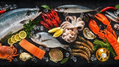 Balıklardaki Civa Miktarı Sağlığımızı Nasıl Etkiler?