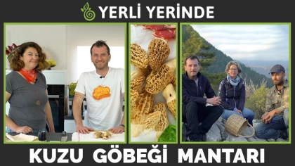 Yerli Yerinde 5.Bölüm: Kuzu Göbeği Mantarı