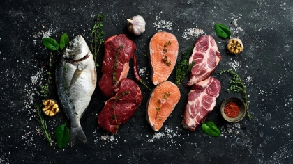 Carnivore Diyeti Nedir?