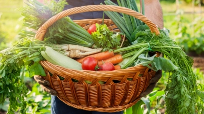 Sürdürülebilir Beslenme Nedir, Nasıl Uygulanır?