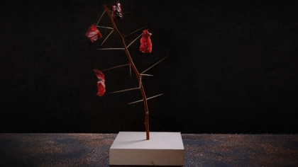 Kurutulmuş Et Tekniği Nedir?