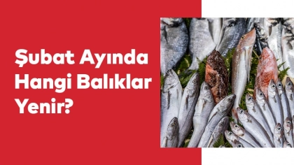 Şubat Ayında Hangi Balıklar Yenir?