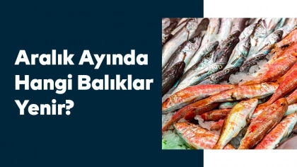 Aralık Ayında Hangi Balıklar Yenir?