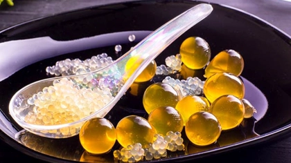 Moleküler Mutfağa Giriş