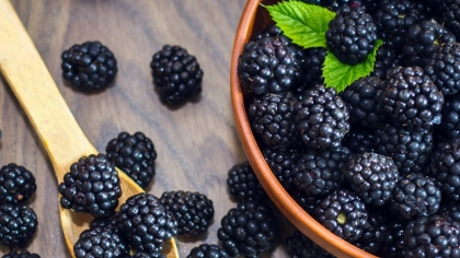 Böğürtlen Faydaları Nelerdir?