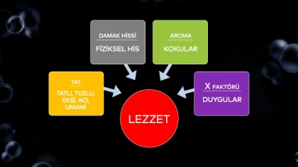 Lezzeti Etkileyen Faktörler