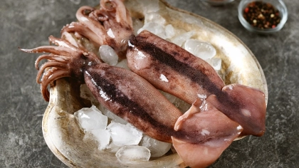 Kalamar Nasıl Ayıklanır?