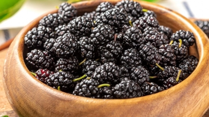 Karadut Faydaları Nelerdir?