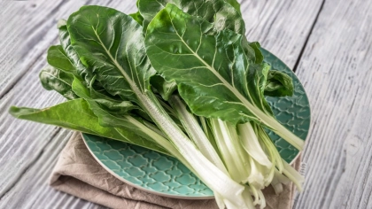 Pazı Faydaları Nelerdir?