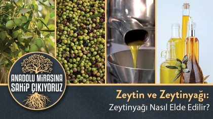 Zeytinyağı Nasıl Elde Edilir?