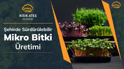 Şehirde Sürdürülebilir Mikro Bitki Üretimi