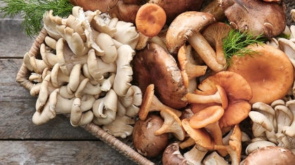 Mantar Nasıl Soyulur ve Kararması Nasıl Önlenir?