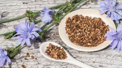 Hindiba Kahvesi Nedir?