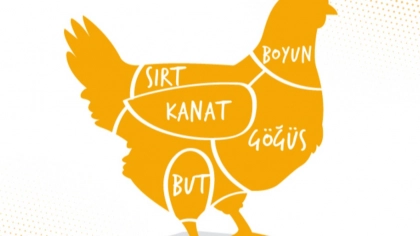 Kümes Hayvan Etlerinin Yapısı, Bölümleri ve Tazeliğini Anlamak