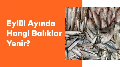 Eylül Ayında Hangi Balıklar Yenir?