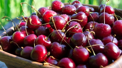 Kiraz Faydaları Nelerdir?