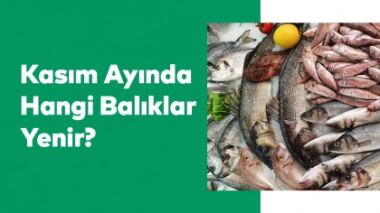 Kasım Ayında Hangi Balıklar Yenir?