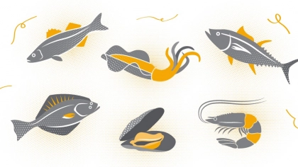 Balık, Deniz Mahsulleri Çeşitleri ve Tazeliğini Anlamak