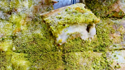 Metanet Katmer - Gaziantep