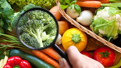 Gıda Güvenliğinin Önemi