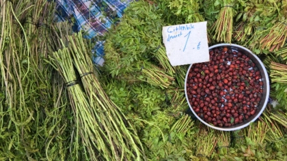 Salı Pazarı - İzmir