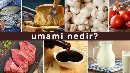 Umami Nedir?